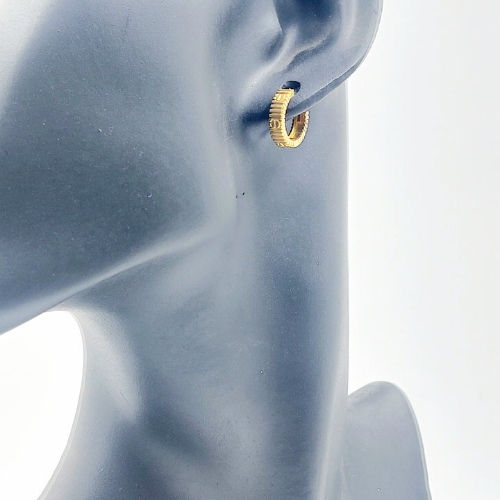 Deluxe Hoop Earrings