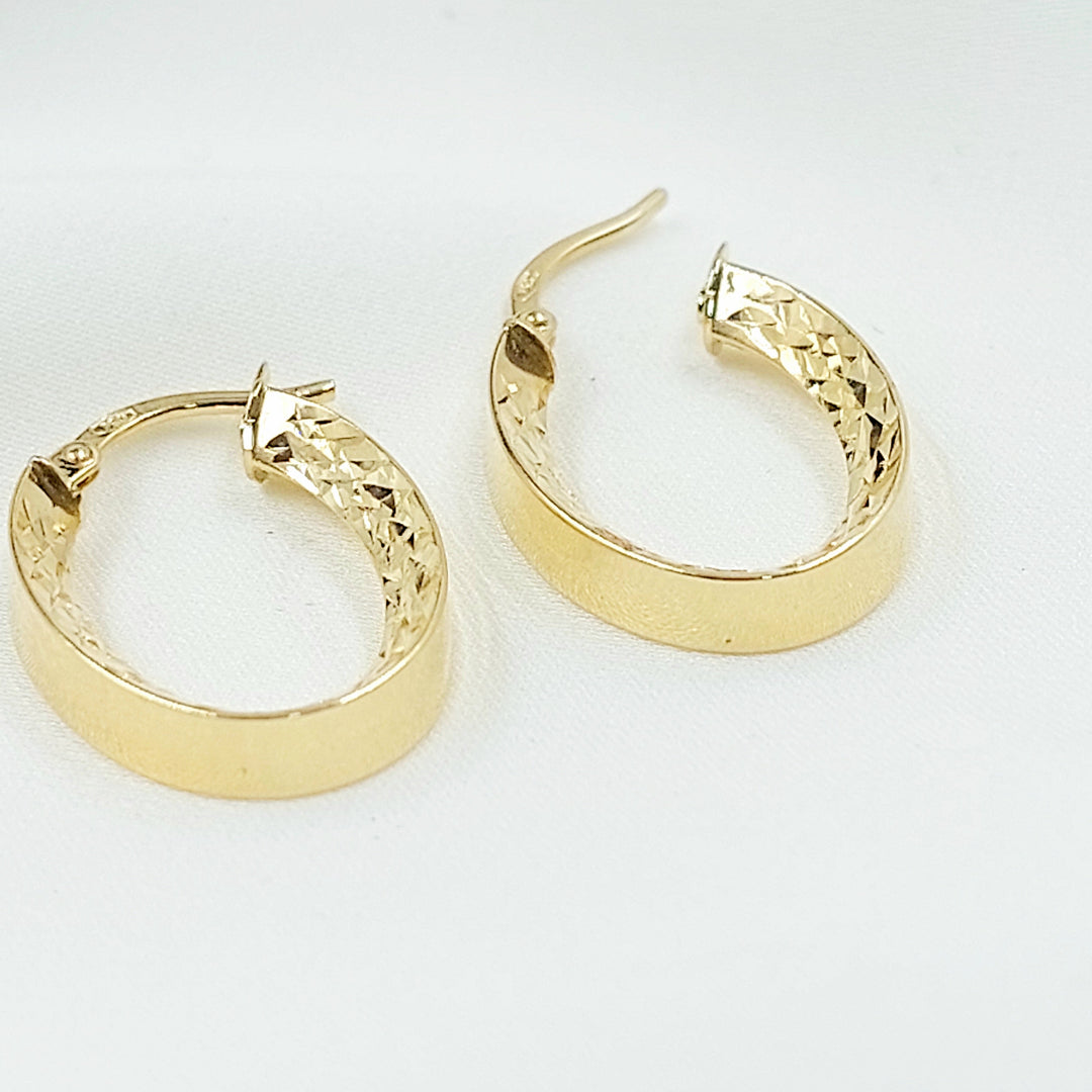 Deluxe Hoop Earrings