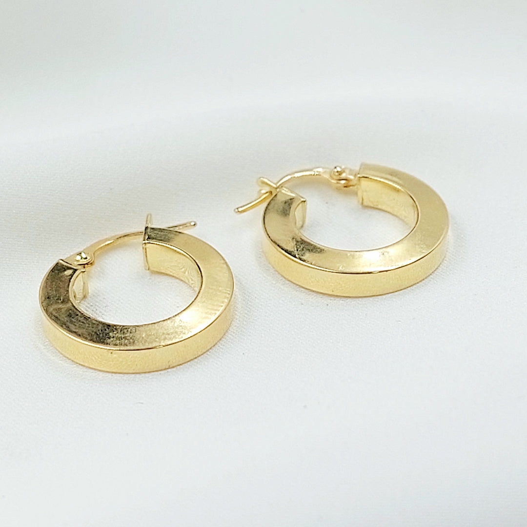 Deluxe Hoop Earrings