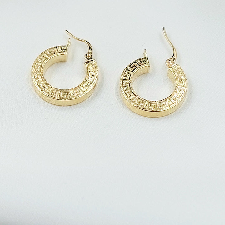 Deluxe Hoop Earrings