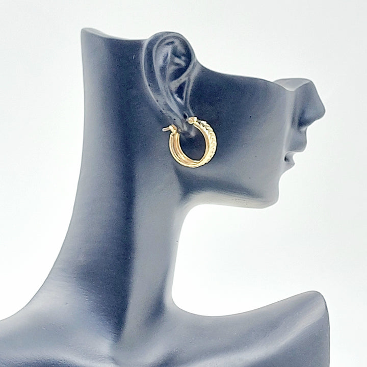 Deluxe Hoop Earrings