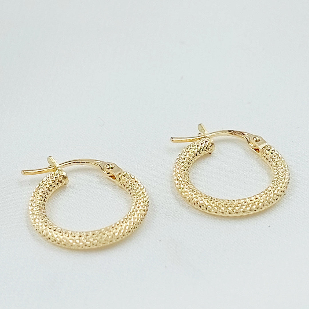Deluxe Hoop Earrings