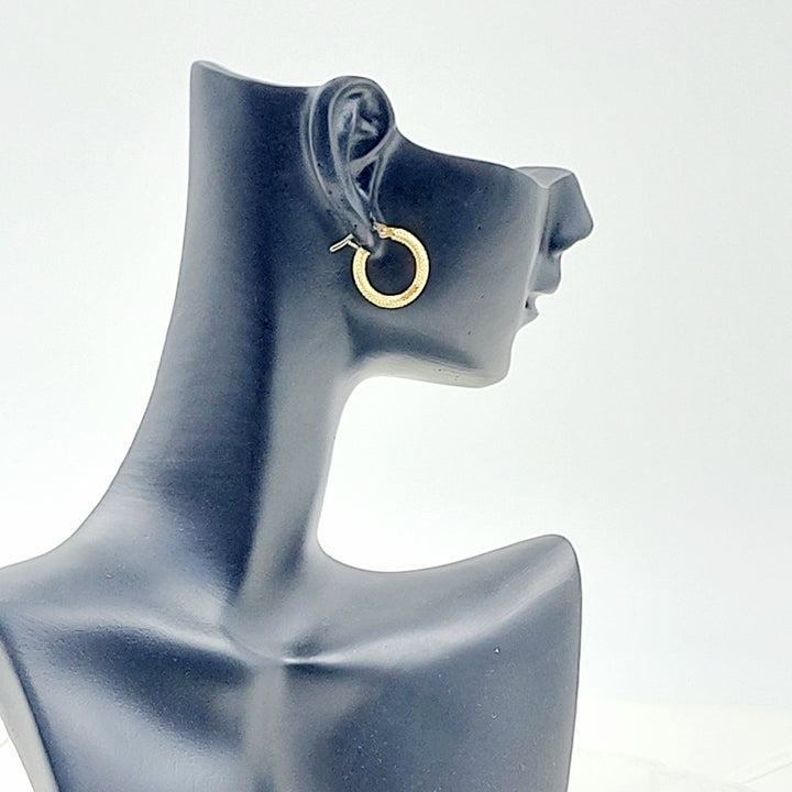 Deluxe Hoop Earrings