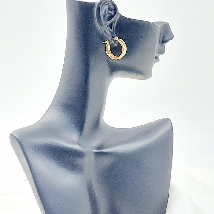 Deluxe Hoop Earrings
