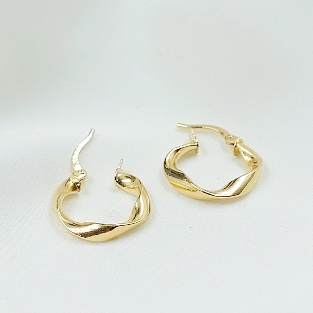 Deluxe Hoop Earrings