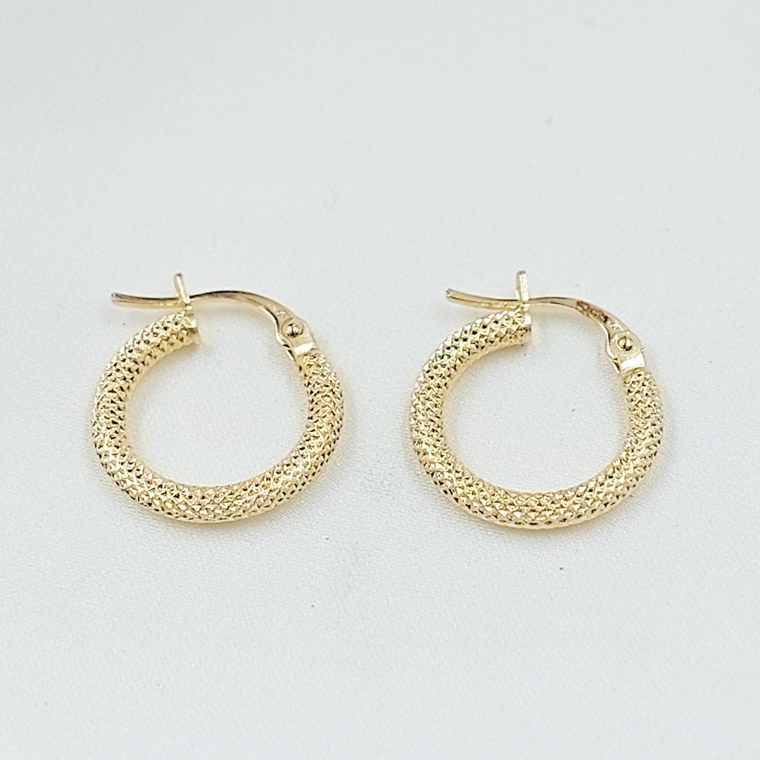 Deluxe Hoop Earrings