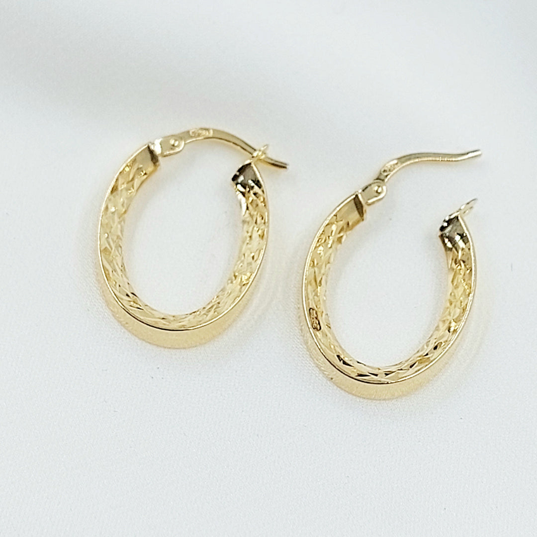 Deluxe Hoop Earrings