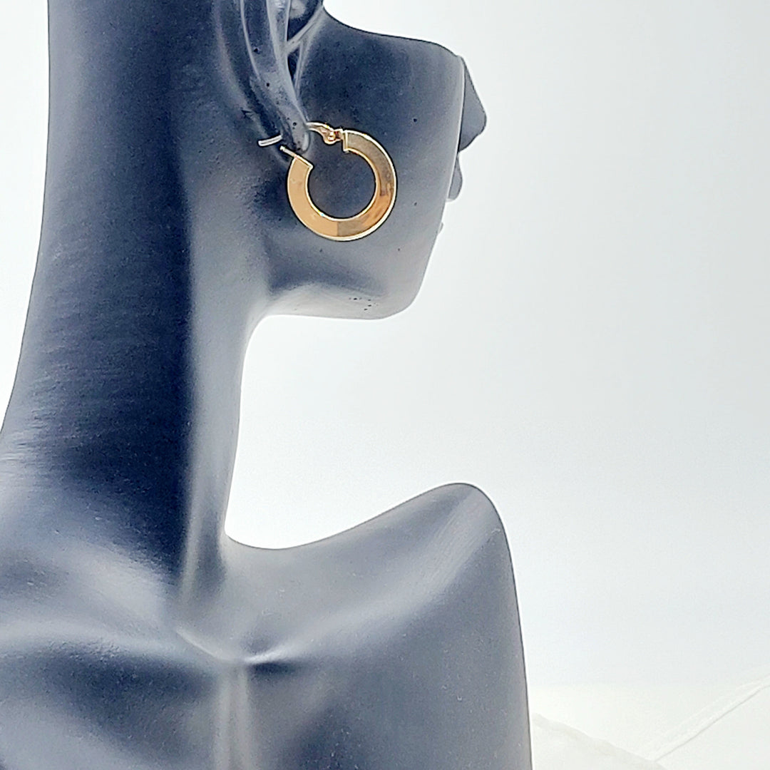 Deluxe Hoop Earrings