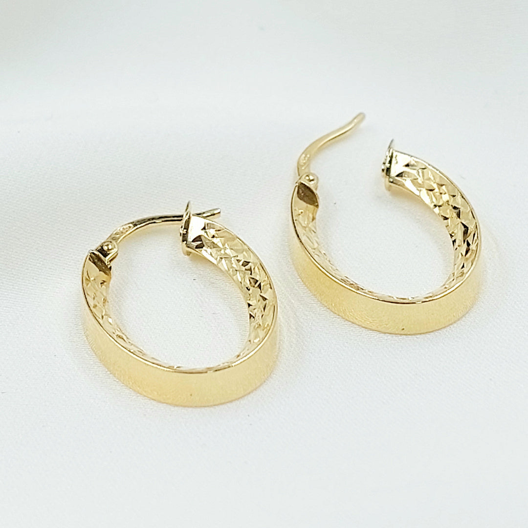 Deluxe Hoop Earrings