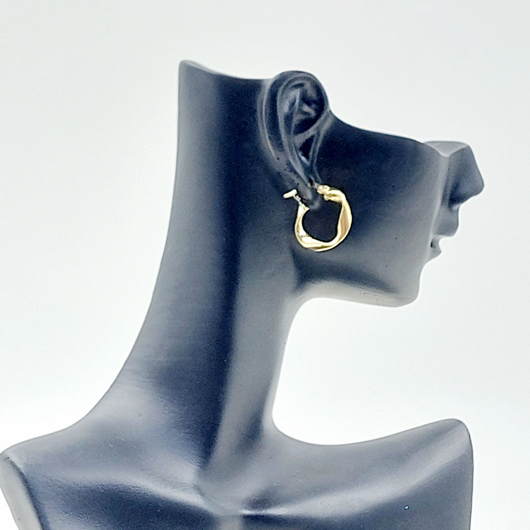 Deluxe Hoop Earrings