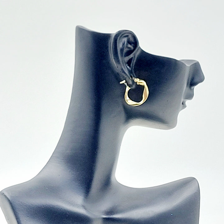 Deluxe Hoop Earrings