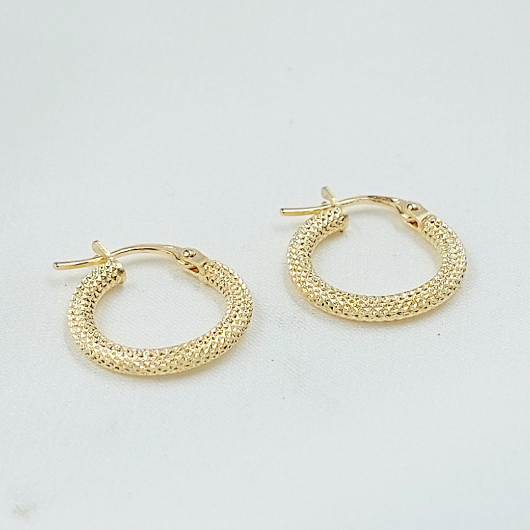 Deluxe Hoop Earrings