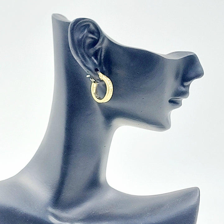 Deluxe Hoop Earrings