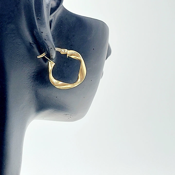 Deluxe Hoop Earrings