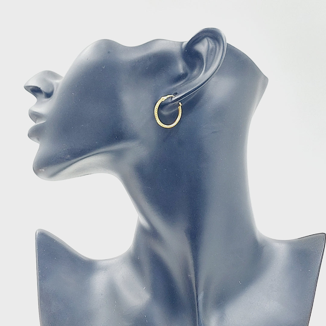 Hoop Earrings